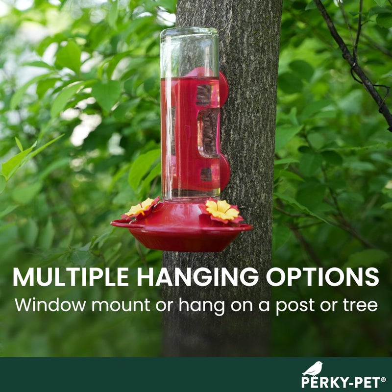 Perky-Pet Window-Mounted Glass Hummingbird Feeder - 14 fl oz Nectar Capacity - Entertaining Bird Watching - Glass Window Bird Feeder - 455-2 - Family Birdwatching - Image 5